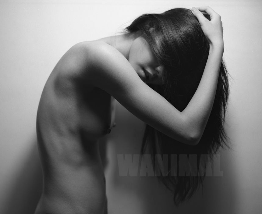 ڹ ͼ () WANIMALƷ [121P] P.1 